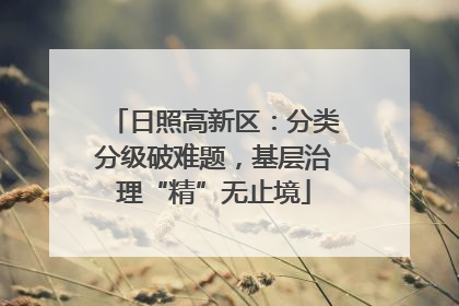 日照高新区：分类分级破难题，基层治理“精”无止境