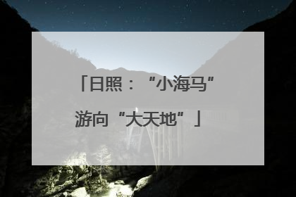 日照：“小海马”游向“大天地”