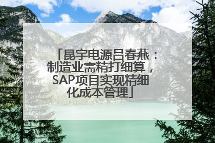 昆宇电源吕春燕：制造业需精打细算，SAP项目实现精细化成本管理
