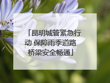 昆明城管紧急行动 保障雨季道路桥梁安全畅通