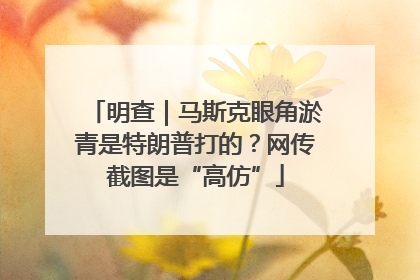 明查｜马斯克眼角淤青是特朗普打的？网传截图是“高仿”
