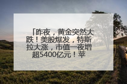 昨夜，黄金突然大跌！美股爆发，特斯拉大涨，市值一夜增超5400亿元！苹果传来大消息