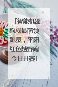 智能机器狗成最萌领跑员，平阳红色越野跑今日开赛