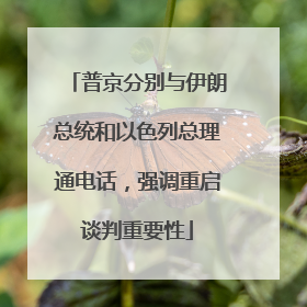 普京分别与伊朗总统和以色列总理通电话，强调重启谈判重要性
