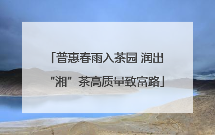 普惠春雨入茶园 润出“湘”茶高质量致富路
