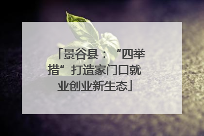 景谷县：“四举措”打造家门口就业创业新生态