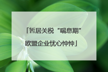 暂居关税“喘息期” 欧盟企业忧心忡忡