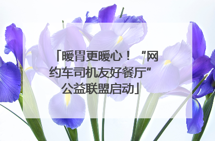 暖胃更暖心！“网约车司机友好餐厅”公益联盟启动