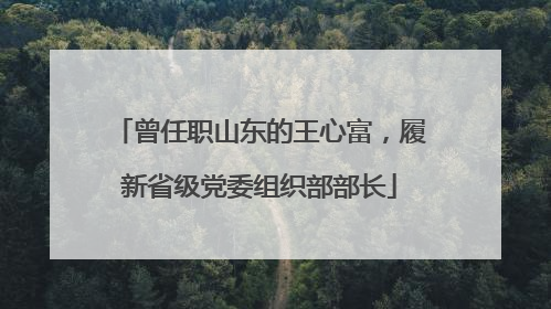曾任职山东的王心富，履新省级党委组织部部长
