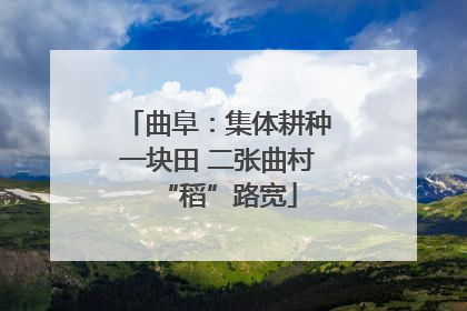 曲阜：集体耕种一块田 二张曲村“稻”路宽