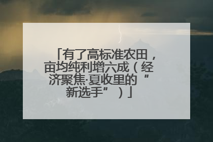 有了高标准农田，亩均纯利增六成（经济聚焦·夏收里的“新选手”）