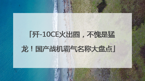 歼-10CE火出圈，不愧是猛龙！国产战机霸气名称大盘点