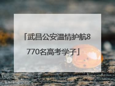 武昌公安温情护航8770名高考学子