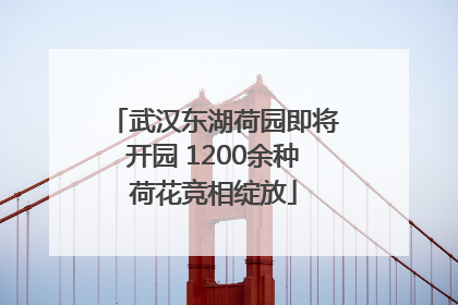 武汉东湖荷园即将开园 1200余种荷花竞相绽放
