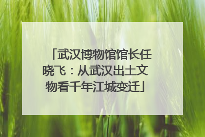武汉博物馆馆长任晓飞：从武汉出土文物看千年江城变迁