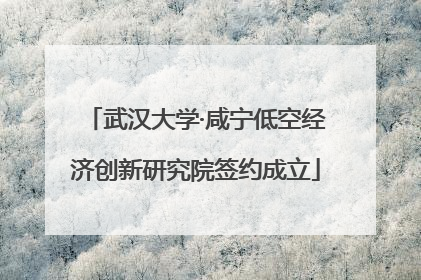 武汉大学·咸宁低空经济创新研究院签约成立