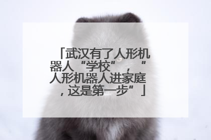 武汉有了人形机器人“学校”，“人形机器人进家庭，这是第一步”
