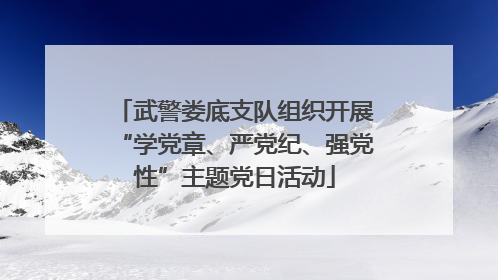 武警娄底支队组织开展“学党章、严党纪、强党性”主题党日活动