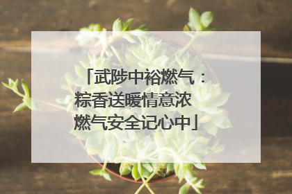 武陟中裕燃气：粽香送暖情意浓 燃气安全记心中