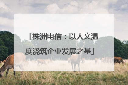 株洲电信：以人文温度浇筑企业发展之基