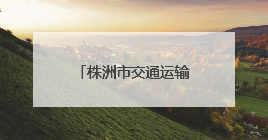 株洲市交通运输局开展“银龄端午福满情”活动