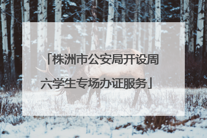 株洲市公安局开设周六学生专场办证服务