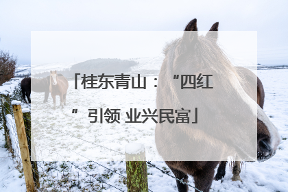 桂东青山：“四红”引领 业兴民富