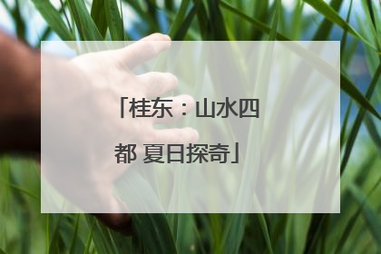 桂东：山水四都 夏日探奇
