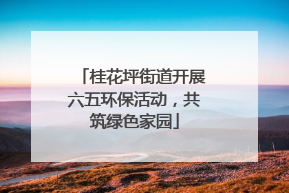 桂花坪街道开展六五环保活动，共筑绿色家园