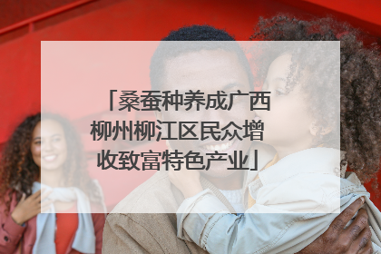 桑蚕种养成广西柳州柳江区民众增收致富特色产业