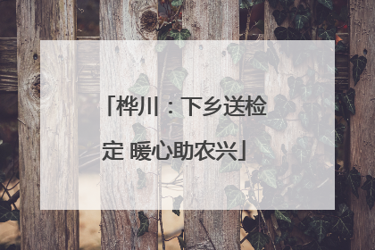 桦川：下乡送检定 暖心助农兴