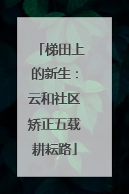 梯田上的新生：云和社区矫正五载耕耘路