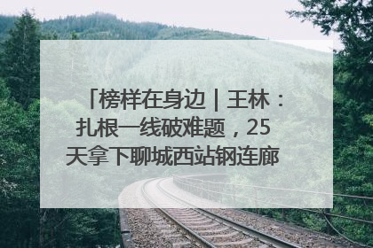 榜样在身边｜王林：扎根一线破难题，25天拿下聊城西站钢连廊“硬核”工程