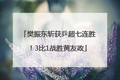 樊振东斩获乒超七连胜！3比1战胜黄友政