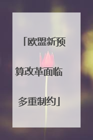 欧盟新预算改革面临多重制约