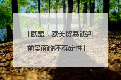 欧盟：欧美贸易谈判前景面临不确定性