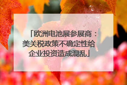 欧洲电池展参展商：美关税政策不确定性给企业投资造成混乱