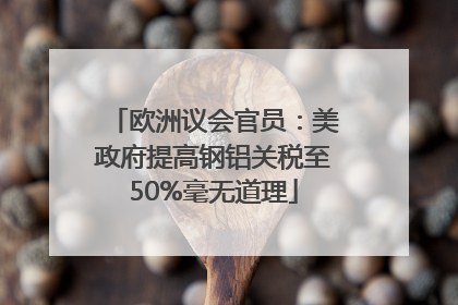 欧洲议会官员：美政府提高钢铝关税至50%毫无道理