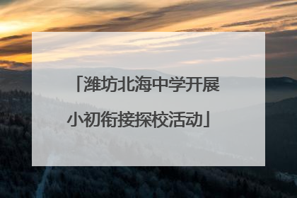 潍坊北海中学开展小初衔接探校活动