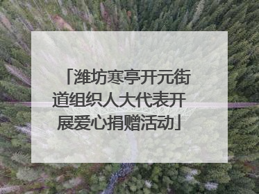 潍坊寒亭开元街道组织人大代表开展爱心捐赠活动