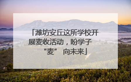 潍坊安丘这所学校开展麦收活动，盼学子 “麦” 向未来