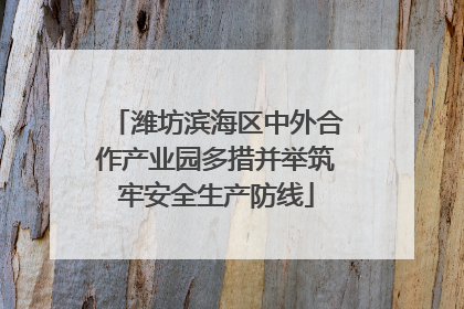 潍坊滨海区中外合作产业园多措并举筑牢安全生产防线