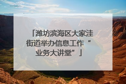 潍坊滨海区大家洼街道举办信息工作“业务大讲堂”