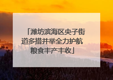潍坊滨海区央子街道多措并举全力护航粮食丰产丰收