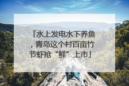 水上发电水下养鱼，青岛这个村百亩竹节虾抢“鲜”上市