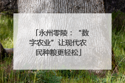 永州零陵：“数字农业”让现代农民种粮更轻松