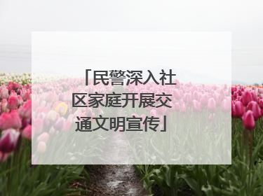 民警深入社区家庭开展交通文明宣传
