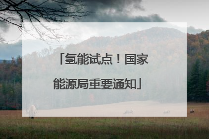 氢能试点！国家能源局重要通知