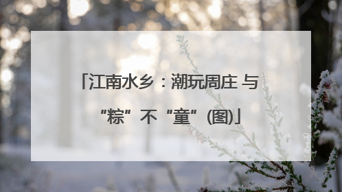 江南水乡：潮玩周庄 与“粽”不“童”(图)