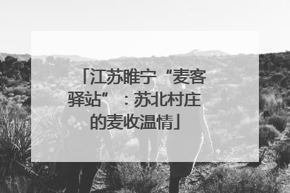 江苏睢宁“麦客驿站”：苏北村庄的麦收温情